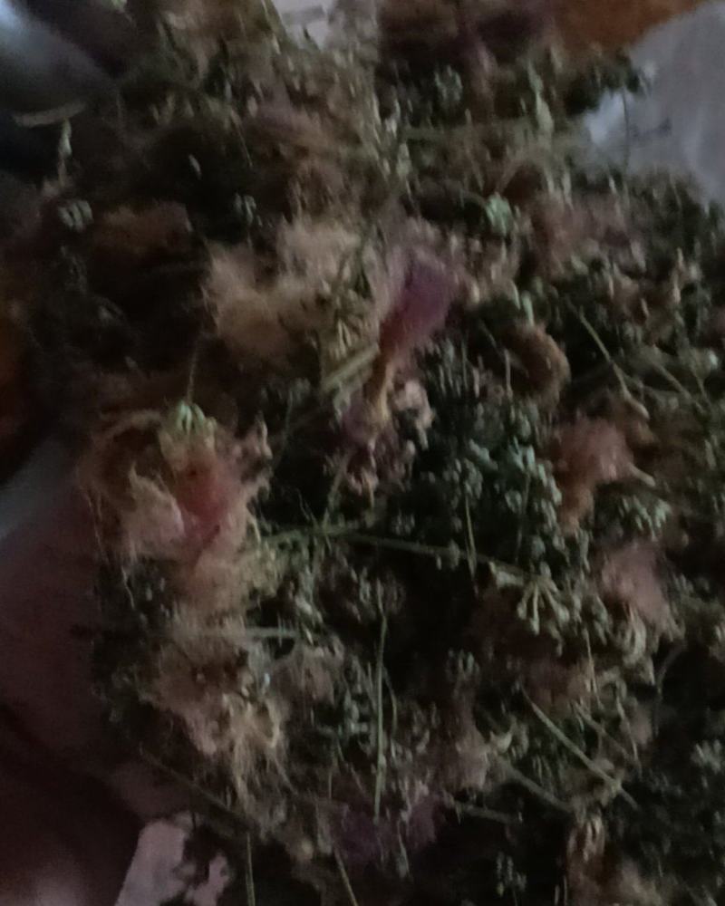 合欢花