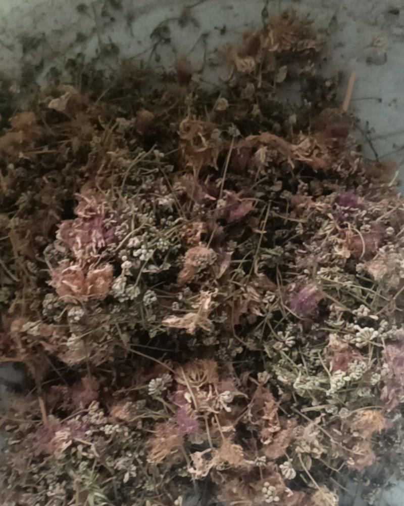 合欢花