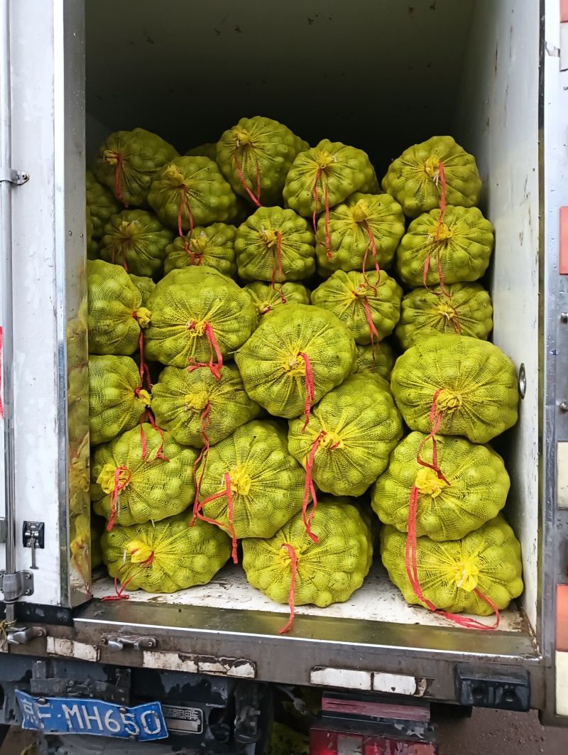 青皮核桃鲜核桃薄皮鲜核桃纸皮鲜核桃