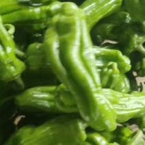 精品芜湖椒