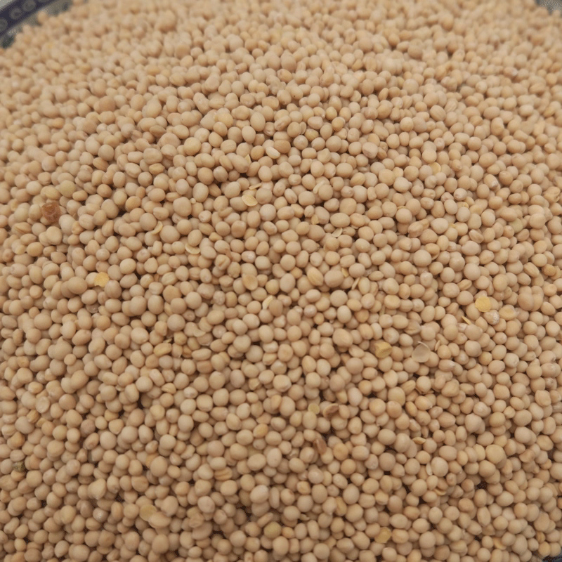 白芥子批发中药材原料批发各种规格都有欢迎选购定制免费打粉