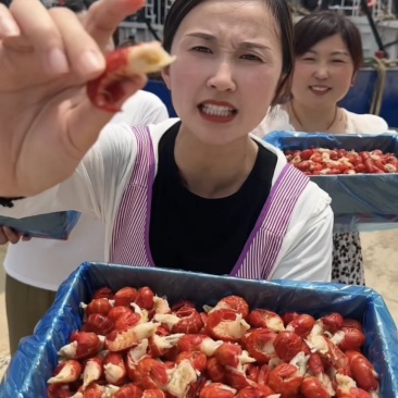 精品龙虾尾