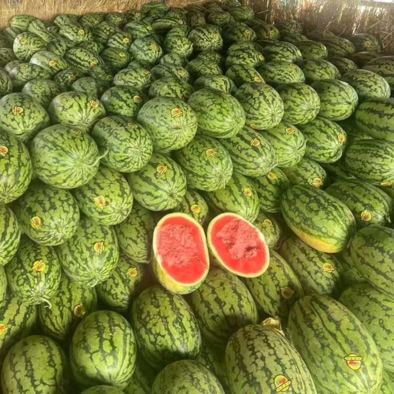 黑美人，绿爽