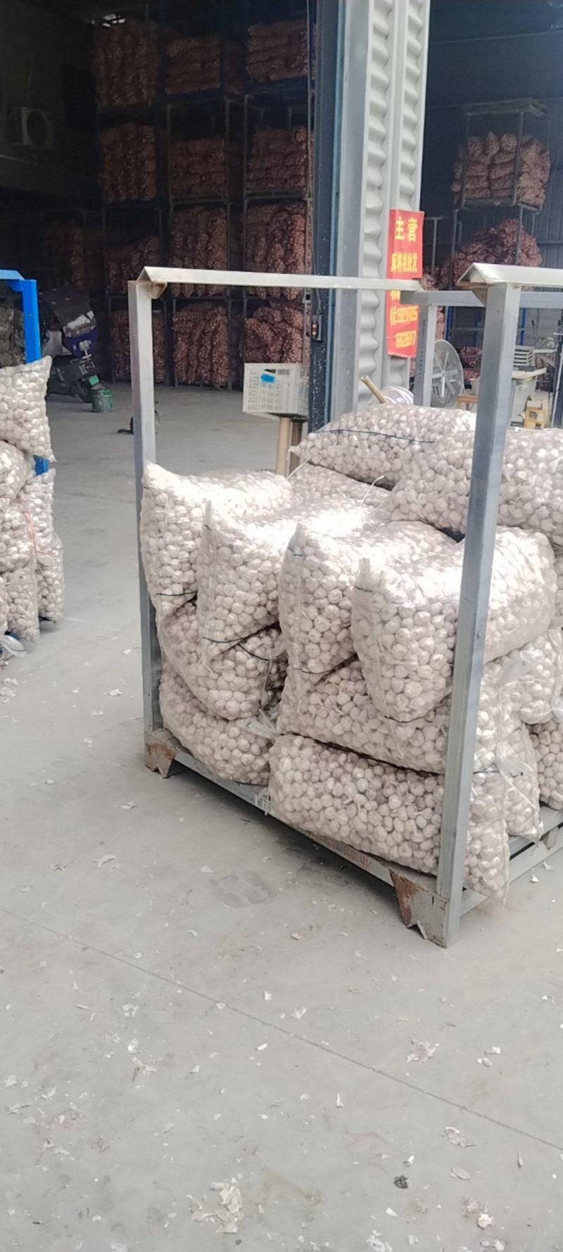 邳州精品大蒜大量上市中！