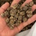 大中颗粒