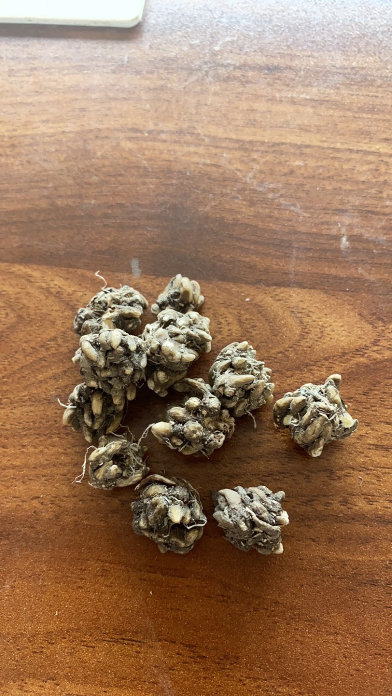 大中颗粒