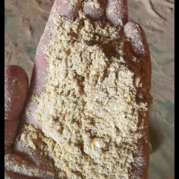 猪牛羊专用玉米粉饲料，厂家发货量大优惠