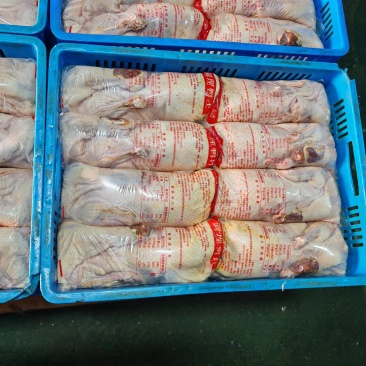 真空包装鸭肉