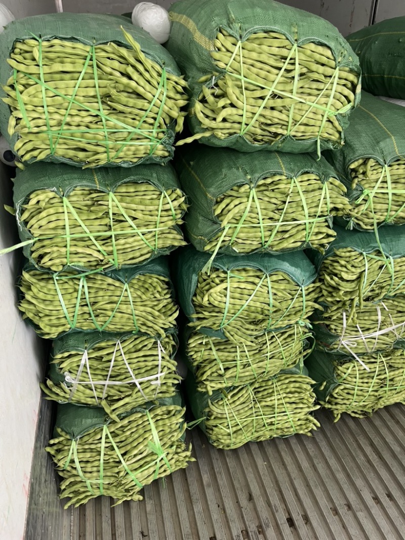 青豆，大量有货