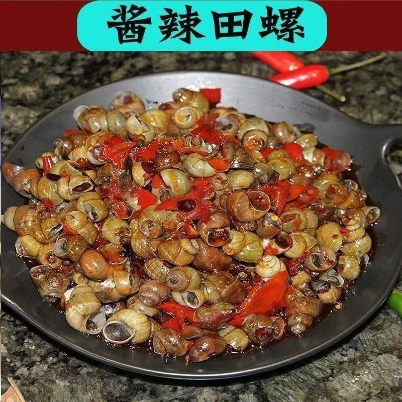 窑墩田螺原产批发