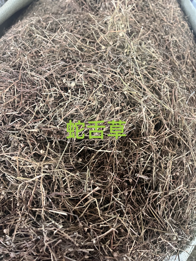 白花蛇舌草白花蛇舌草切段筛粉