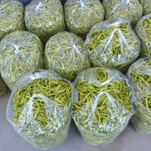 黄花菜4月小青花