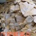 压鲜笋，烤笋干，晒笋干大量上市，产地直发品质保证服务周