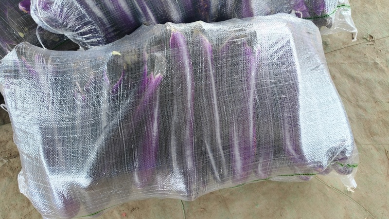 精品长茄，广茄大量上市，产地直发，包装上车一站式服务