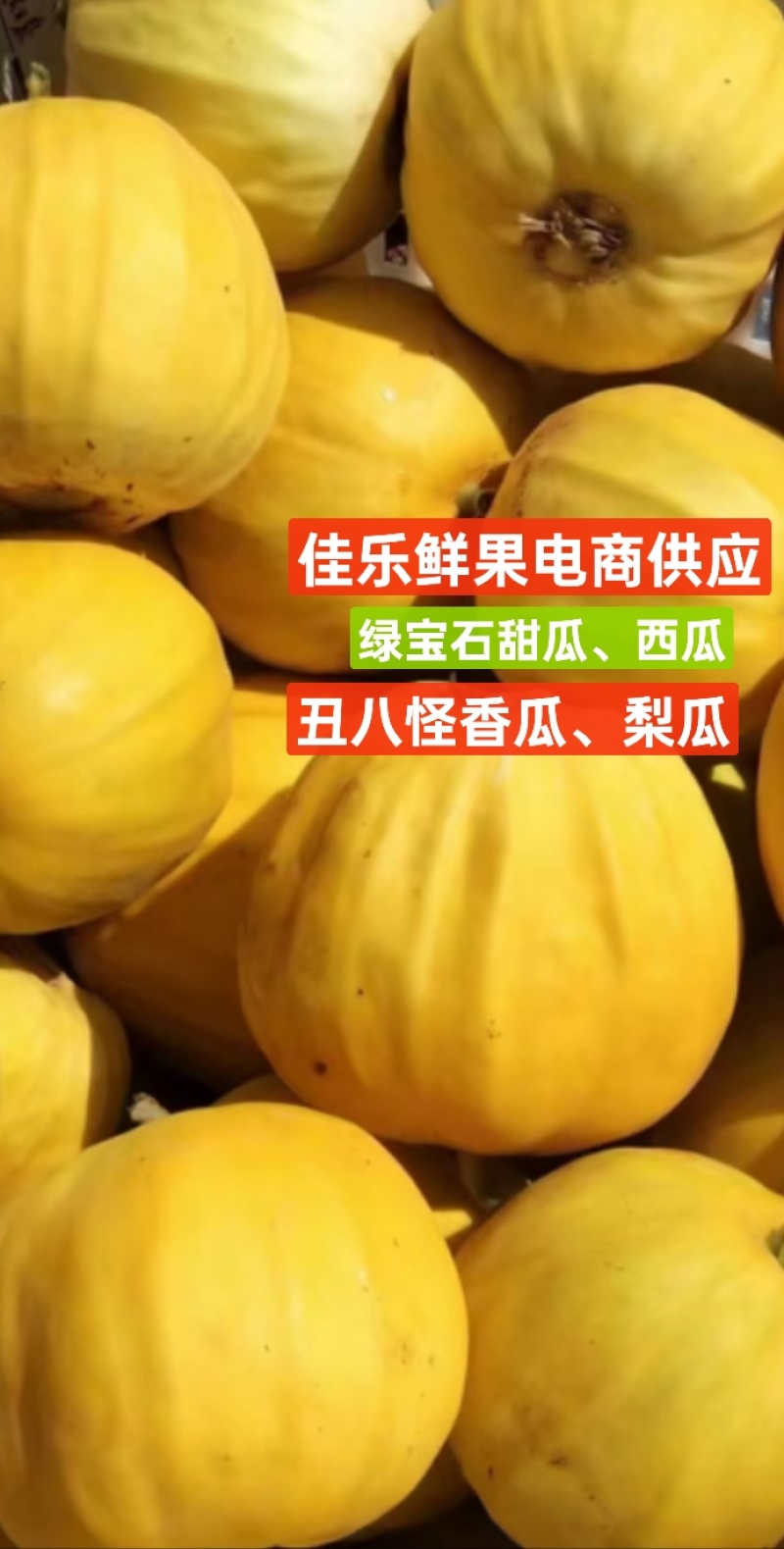 湖北甜瓜绿宝瓜丑八怪田园直发对接超市电商平台