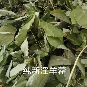 陕西野生【淫羊藿】品质优先假一赔十优质商家欢迎咨询