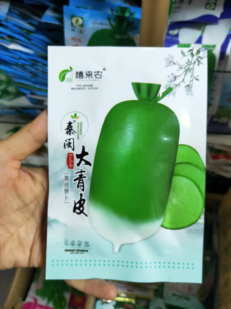 大青头萝卜种子秋季播露头青大萝卜种子秋播东北大青萝卜种