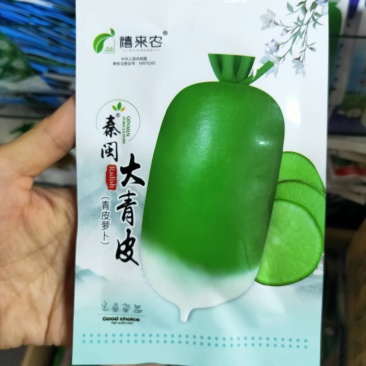 大青头萝卜种子秋季播露头青大萝卜种子秋播东北大青萝卜种
