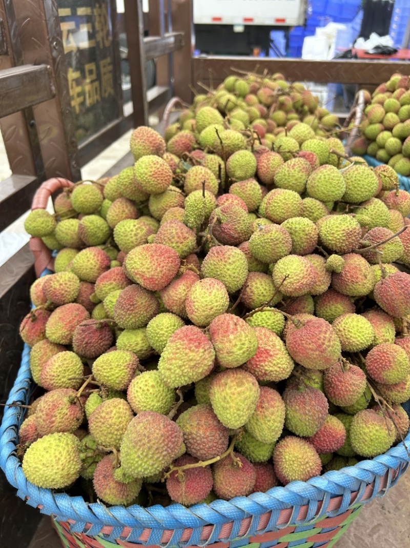 妃子笑荔枝大量上市产地直供质量保证量大价优全国发货