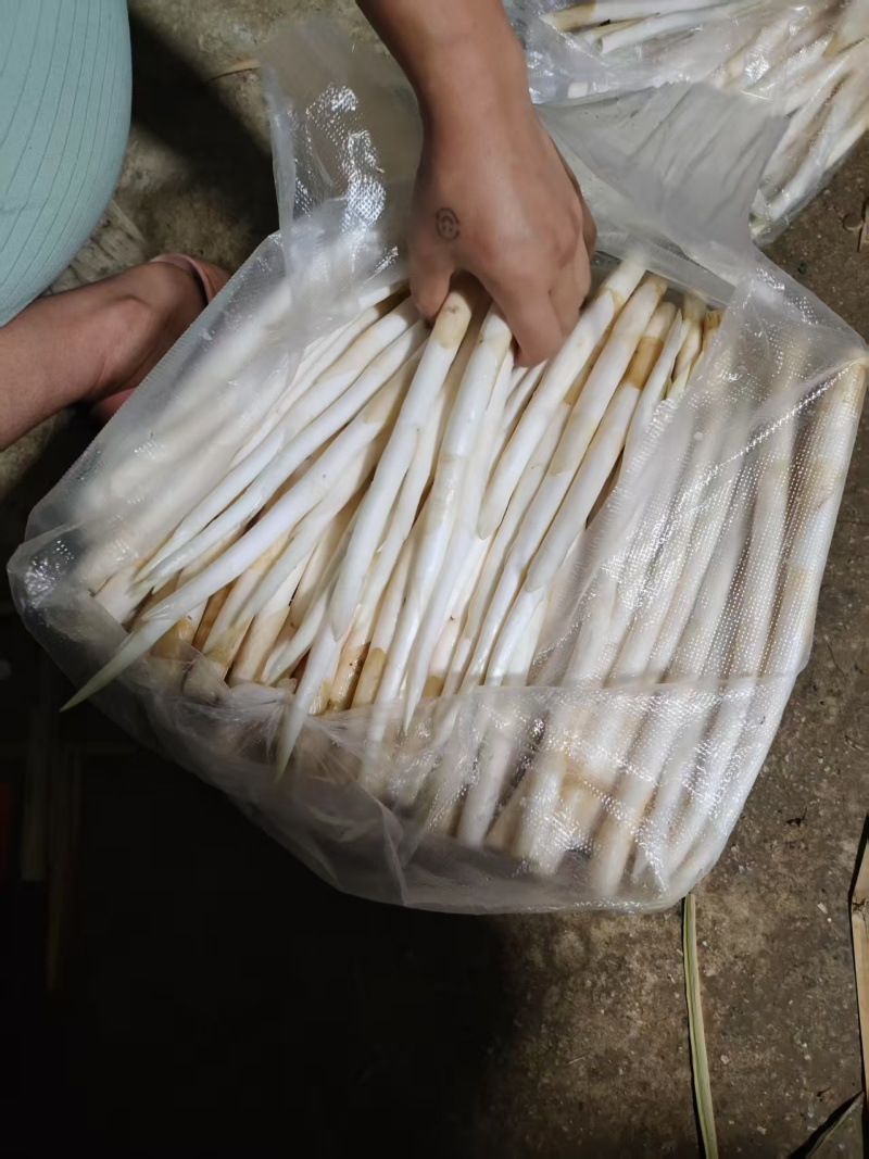 需要老板电话联系