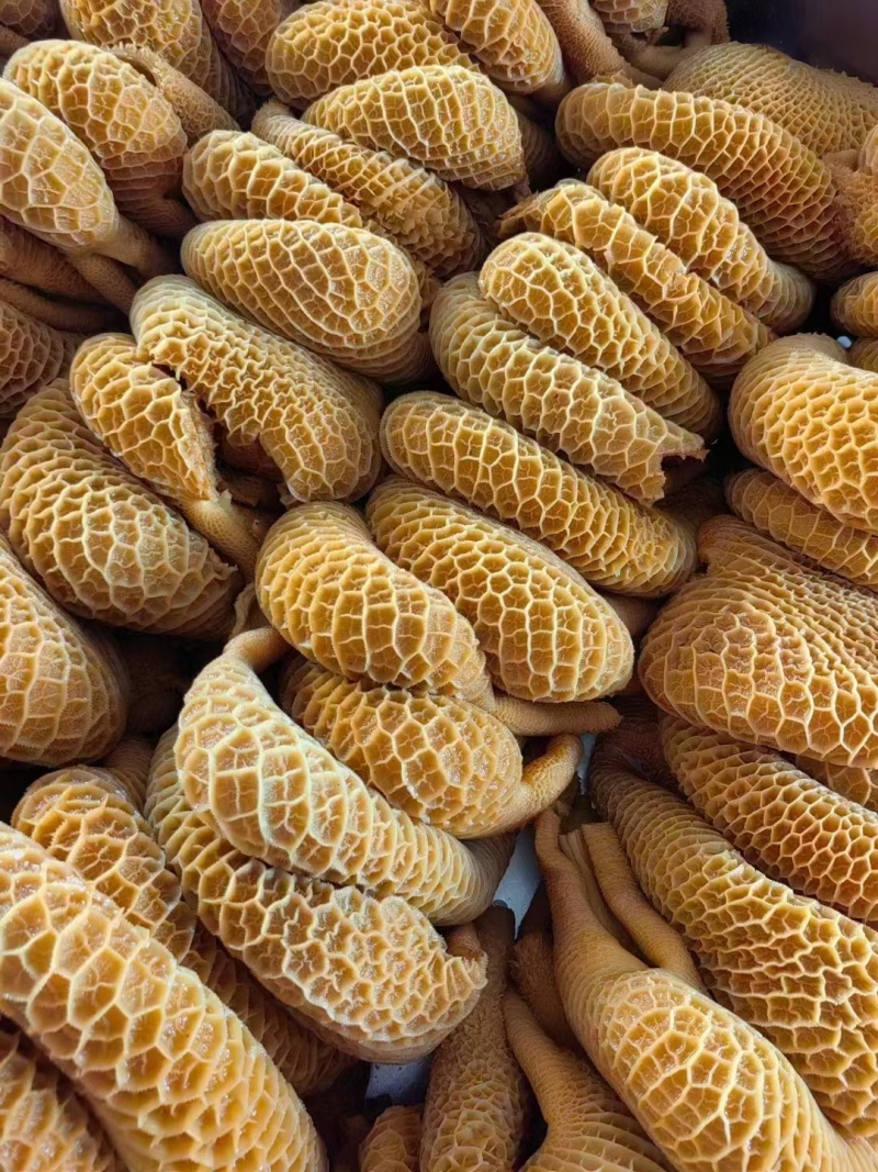 卤牛肚