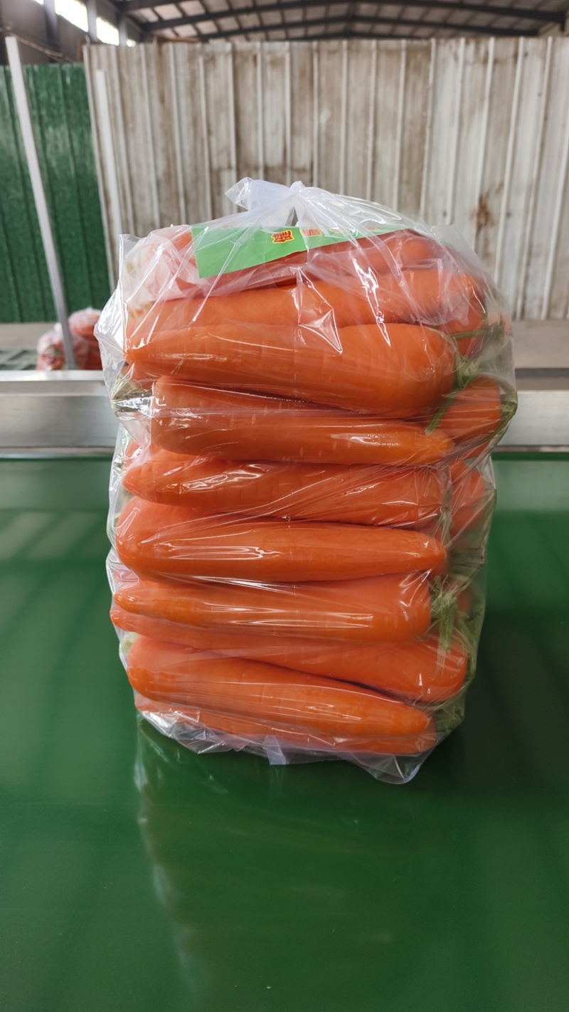 开封精品胡萝卜