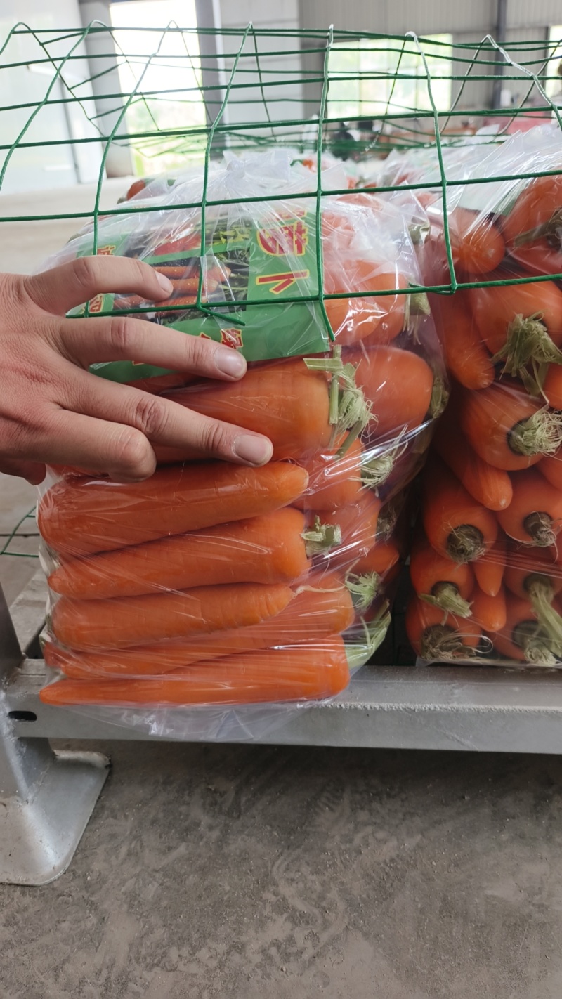 开封精品胡萝卜