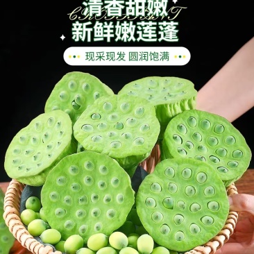 水果莲蓬