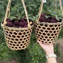 【优选商家】高品质杨梅可一件代发量大从优个头大水分足