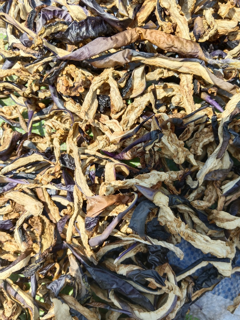 茄子干