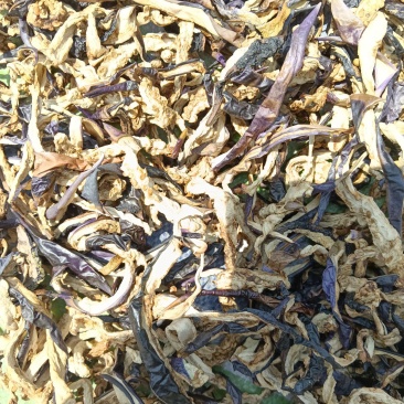茄子干