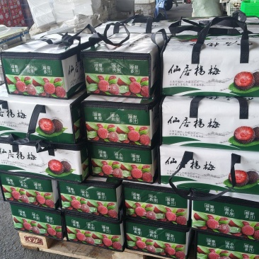 大东櫆杨梅精品货