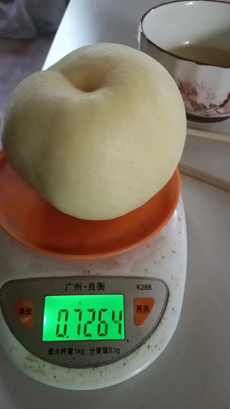 蒙阴密桃开始了！