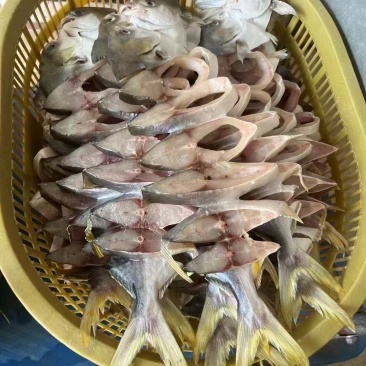 金鲳鱼干（100-500克/条）多种规格
