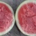 湖北黑皮西瓜皮薄无籽口感甜品质好专业打瓜手产地一手货源