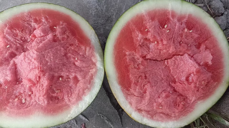 湖北黑皮西瓜皮薄无籽口感甜品质好专业打瓜手产地一手货源