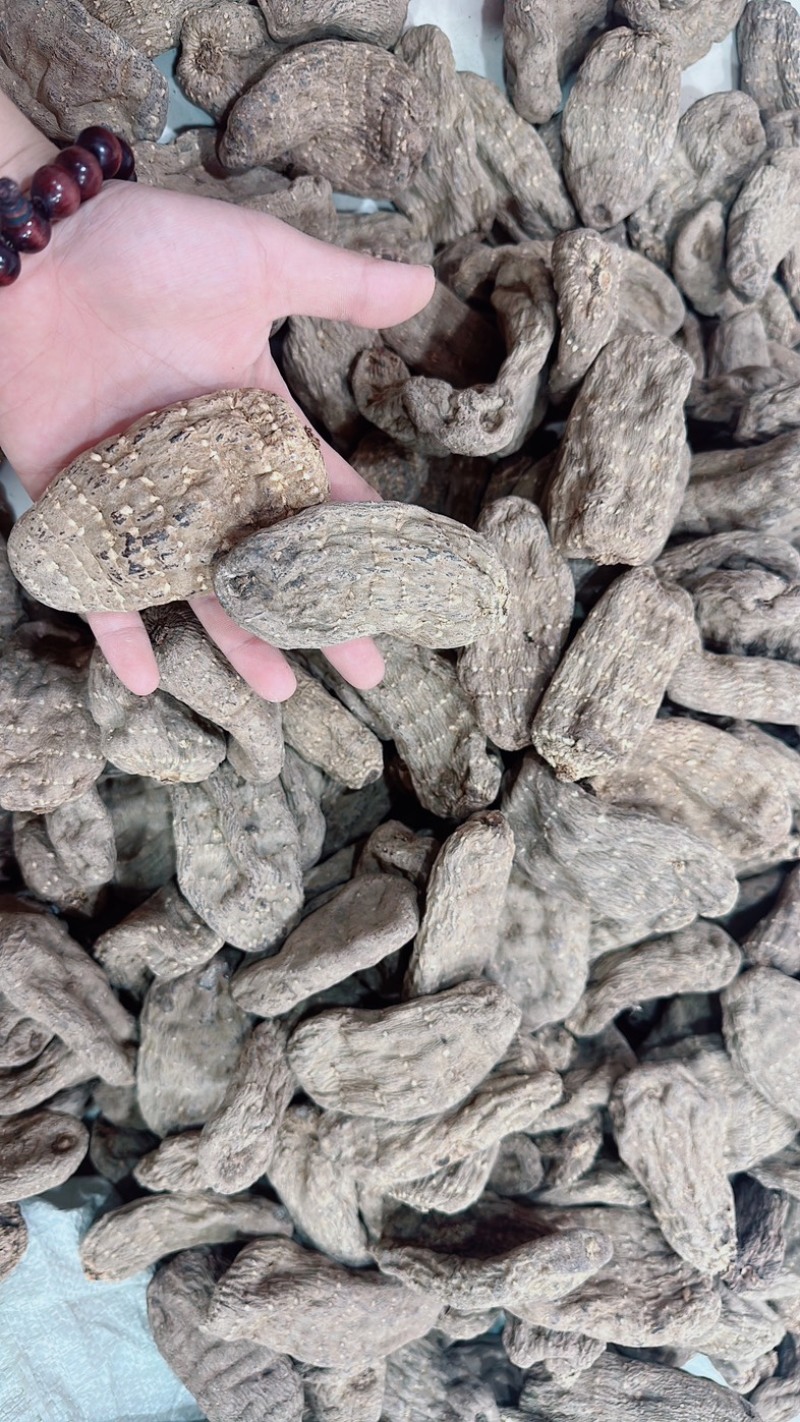 云南乌天麻大个头麻型好味道浓纯干货乌天麻