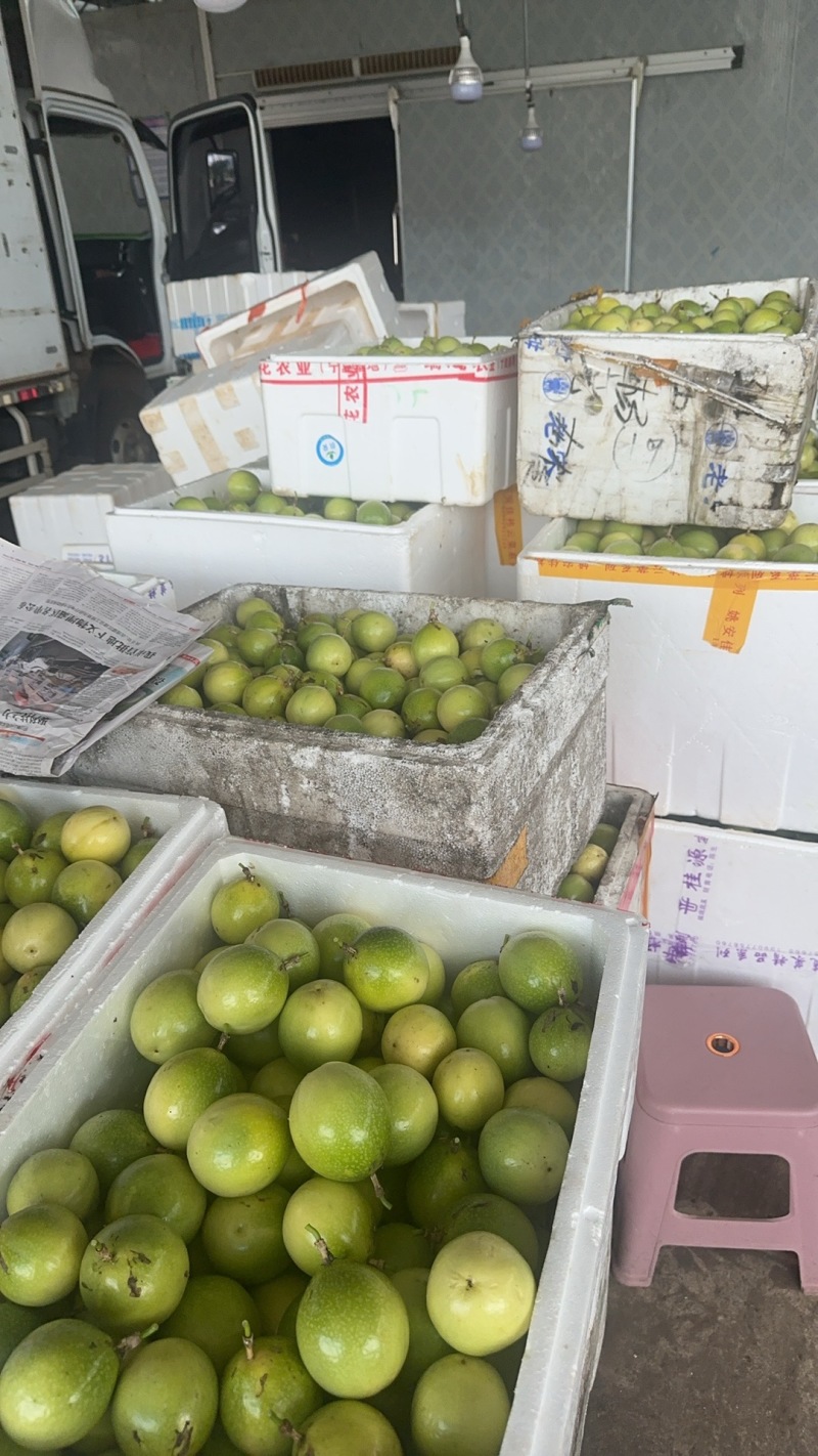 精品百香果货源充足量大从优质量保证产地供应欢迎咨询