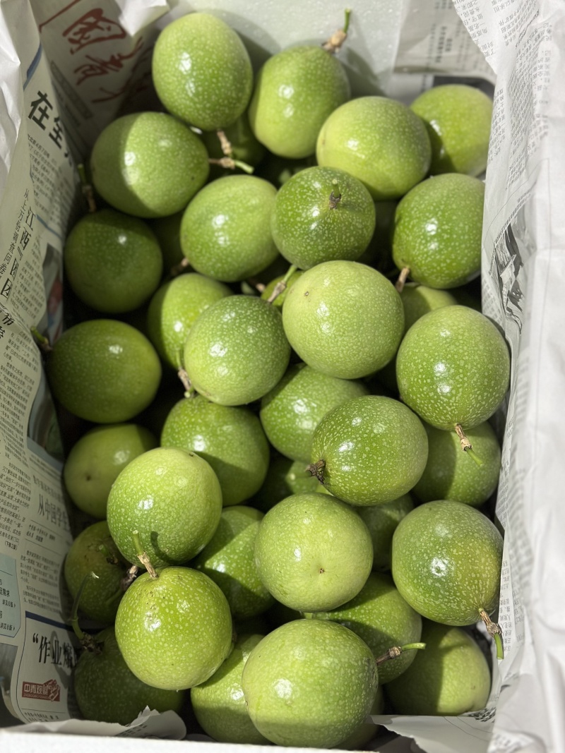 精品百香果货源充足量大从优质量保证产地供应欢迎咨询