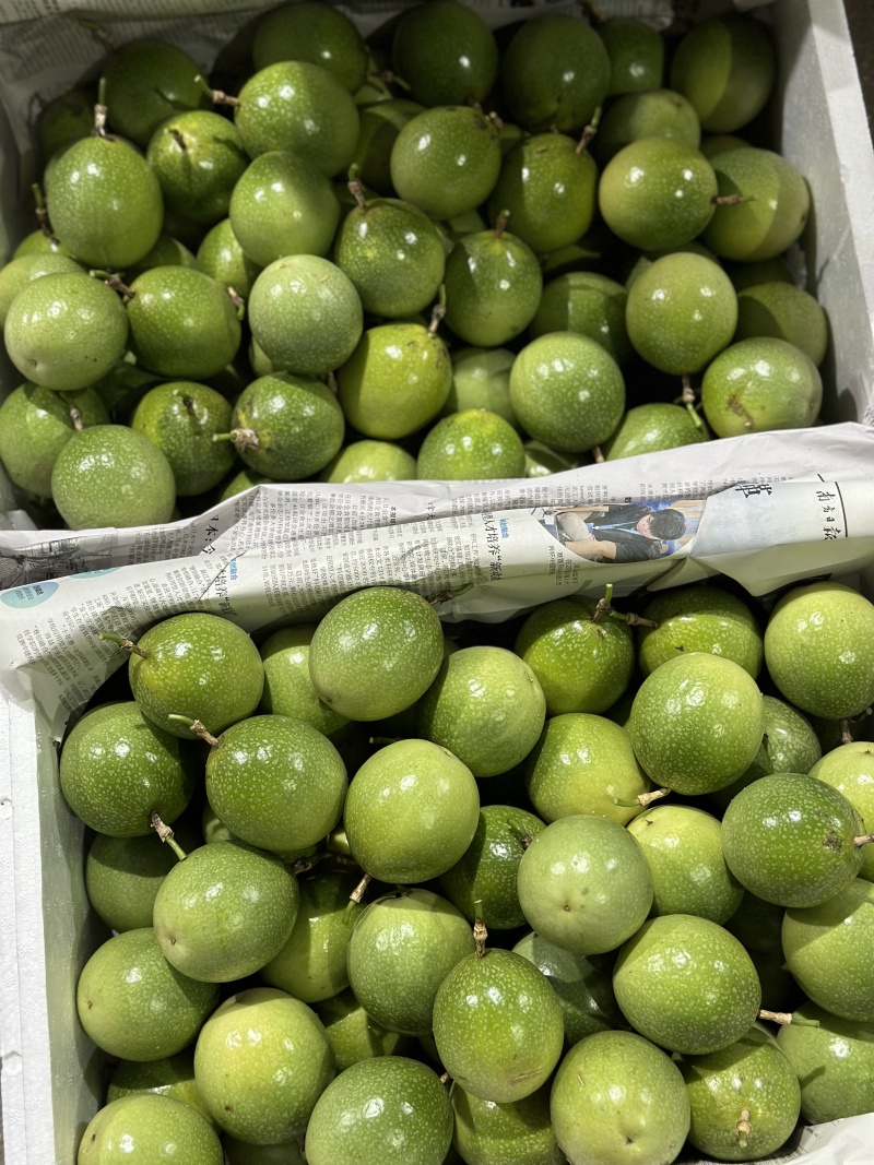 精品百香果货源充足量大从优质量保证产地供应欢迎咨询