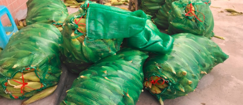 花糯玉米品质保证服务周到产地直发价格美丽