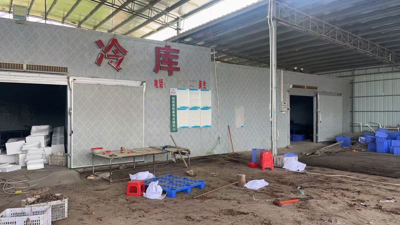 精品荔枝产地供应货源充足量大从优质量保证欢迎咨询