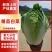 精品白菜长期供应可视频看货量大从优