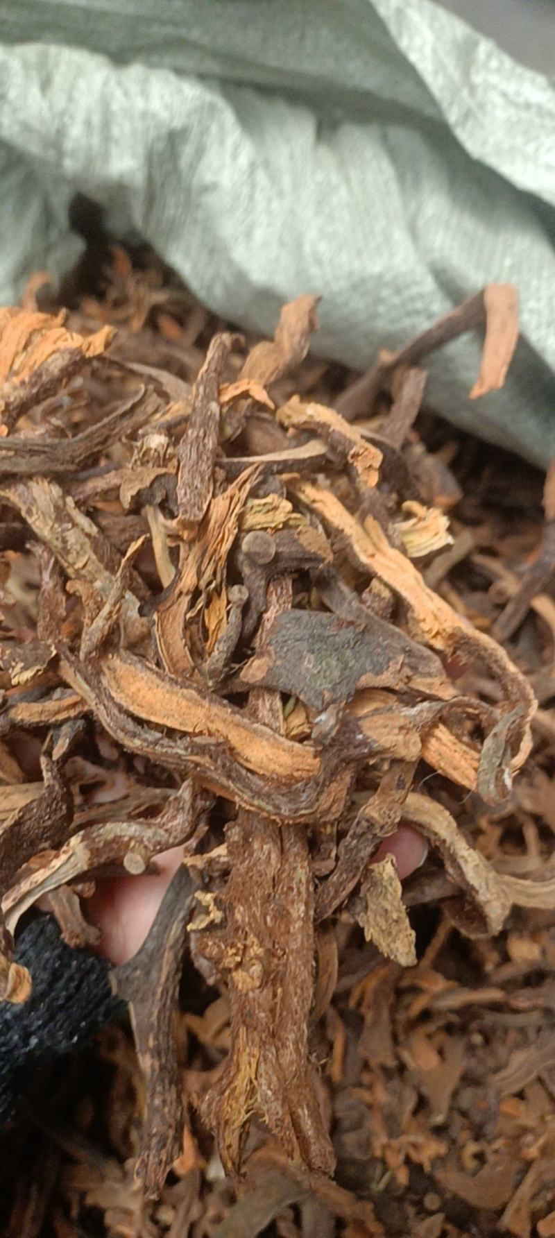 骨碎补各种中药材名贵药材冷被药材代加工打粉压片制丸子