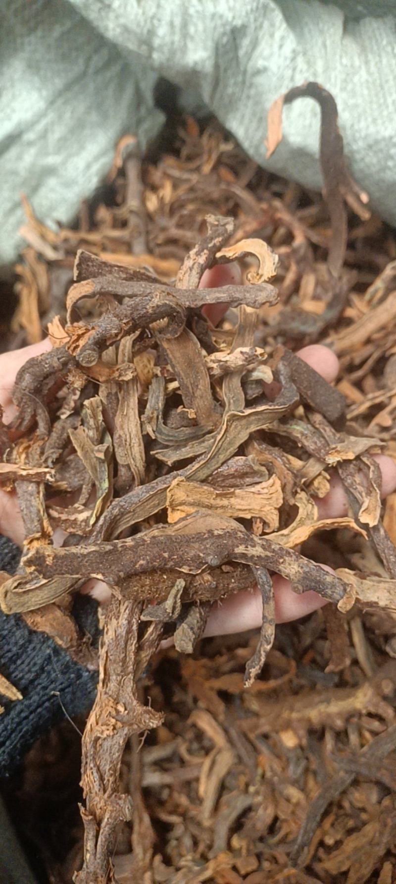 骨碎补各种中药材名贵药材冷被药材代加工打粉压片制丸子