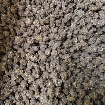 猫爪草中药材无硫正品水洗猫爪草量大优惠批发零售