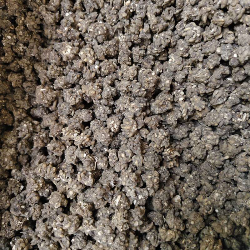 猫爪草中药材无硫正品水洗猫爪草量大优惠批发零售