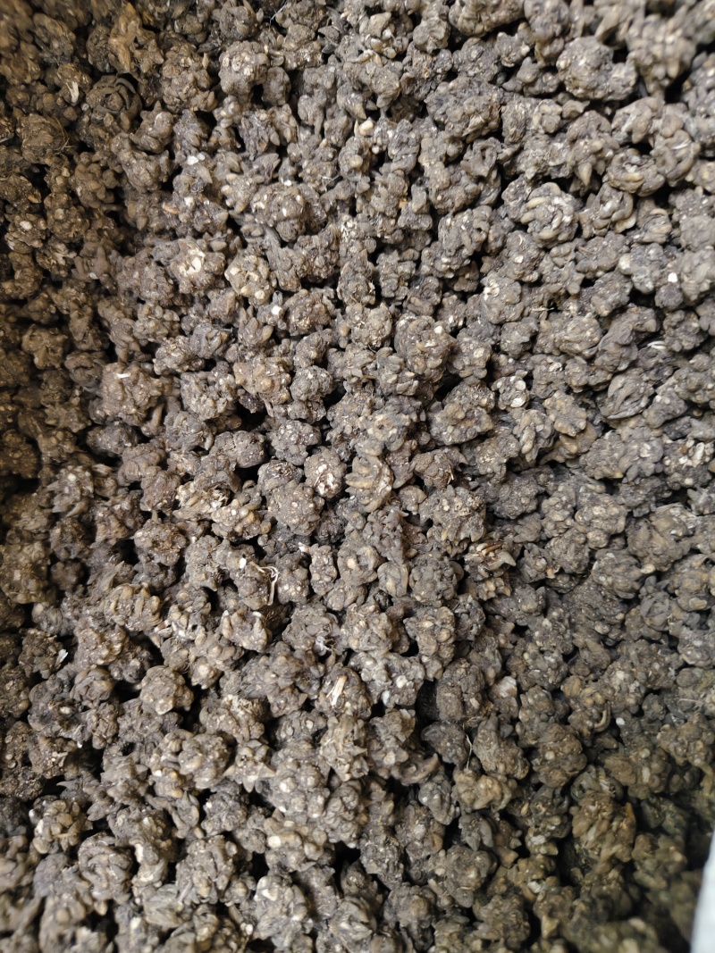 猫爪草中药材无硫正品水洗猫爪草量大优惠批发零售
