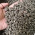 猫爪草中药材无硫正品水洗猫爪草量大优惠批发零售