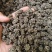 猫爪草中药材无硫正品水洗猫爪草量大优惠批发零售